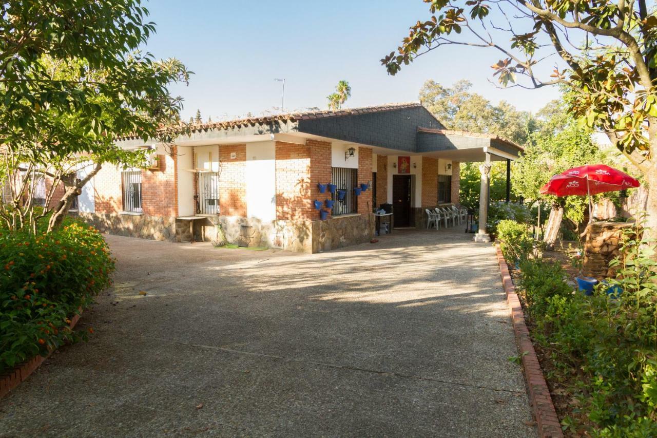 Fantástico chalet nuevo con piscina en Av. Brillante Villa Córdoba Buitenkant foto